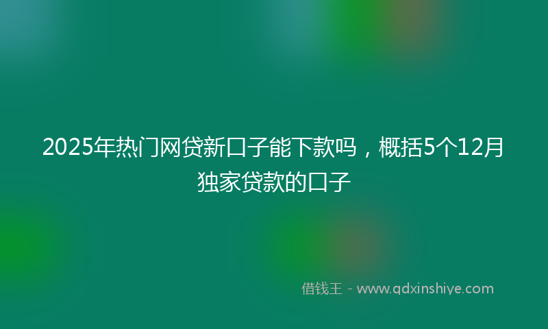 2025年热门网贷新口子能下款吗，概括5个12月独家贷款的口子