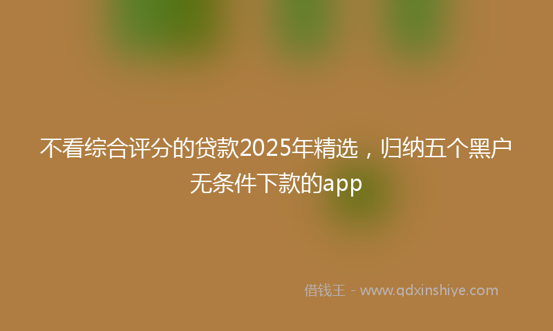 不看综合评分的贷款2025年精选，归纳五个黑户无条件下款的app