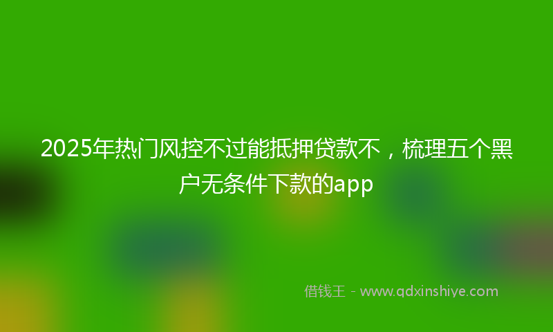 2025年热门风控不过能抵押贷款不，梳理五个黑户无条件下款的app