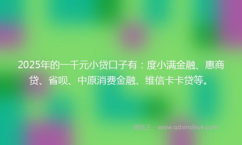 2025年的一千元小贷口子有：度小满金融、惠商贷、省呗、中原消费金融、维信卡卡贷等。