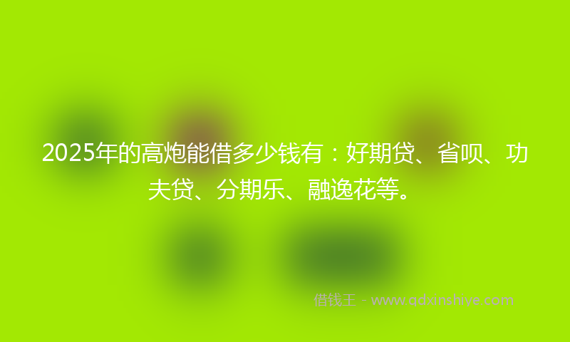 2025年的高炮能借多少钱有：好期贷、省呗、功夫贷、分期乐、融逸花等。