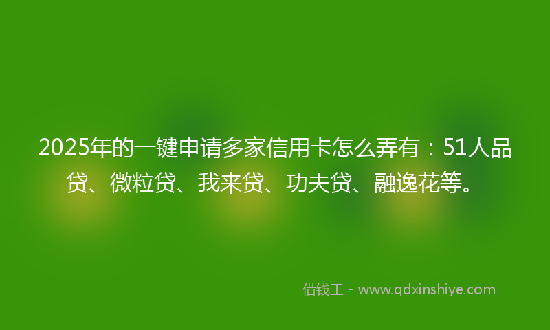 2025年的一键申请多家信用卡怎么弄有：51人品贷、微粒贷、我来贷、功夫贷、融逸花等。