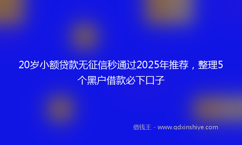 20岁小额贷款无征信秒通过2025年推荐，整理5个黑户借款必下口子