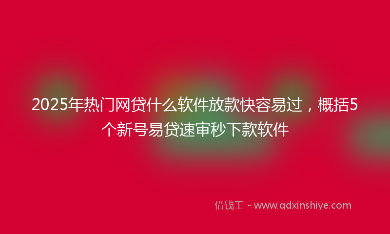 2025年热门网贷什么软件放款快容易过,概括5个新号易贷速审秒下款软件