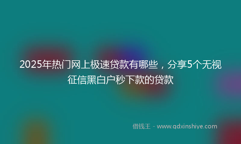 2025年热门网上极速贷款有哪些，分享5个无视征信黑白户秒下款的贷款