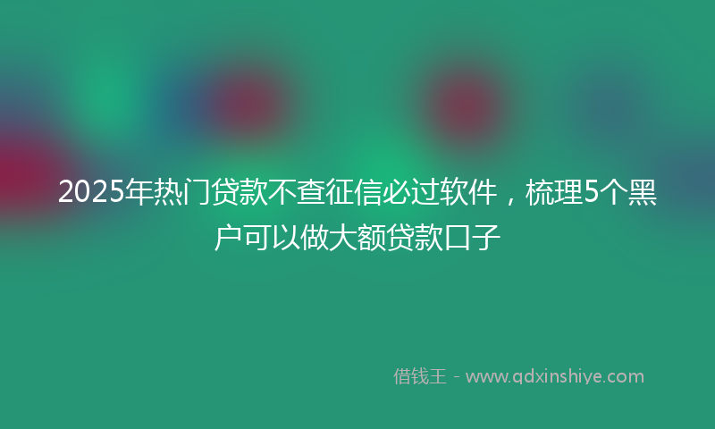 2025年热门贷款不查征信必过软件，梳理5个黑户可以做大额贷款口子