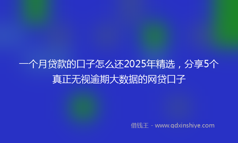 一个月贷款的口子怎么还2025年精选，分享5个真正无视逾期大数据的网贷口子