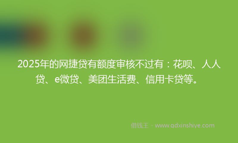 2025年的网捷贷有额度审核不过有：花呗、人人贷、e微贷、美团生活费、信用卡贷等。
