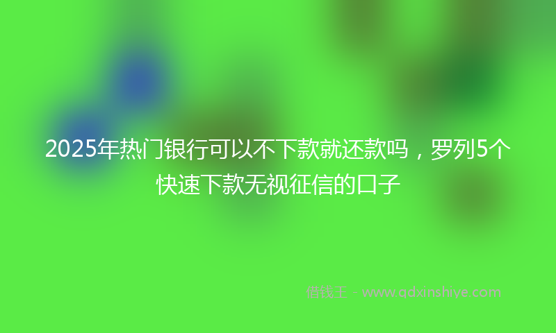 2025年热门银行可以不下款就还款吗，罗列5个快速下款无视征信的口子