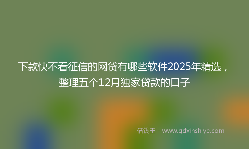 下款快不看征信的网贷有哪些软件2025年精选，整理五个12月独家贷款的口子