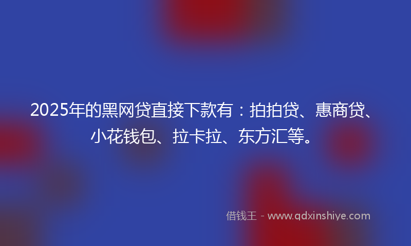 2025年的黑网贷直接下款有:拍拍贷、惠商贷、小花钱包、拉卡拉、东方汇等。