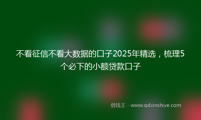 不看征信不看大数据的口子2025年精选，梳理5个必下的小额贷款口子