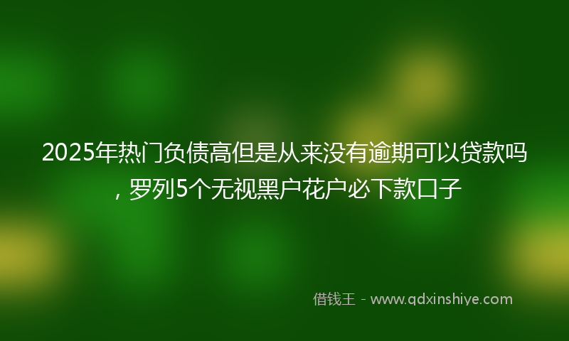 2025年热门负债高但是从来没有逾期可以贷款吗，罗列5个无视黑户花户必下款口子