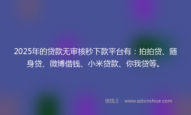 2025年的贷款无审核秒下款平台有：拍拍贷、随身贷、微博借钱、小米贷款、你我贷等。