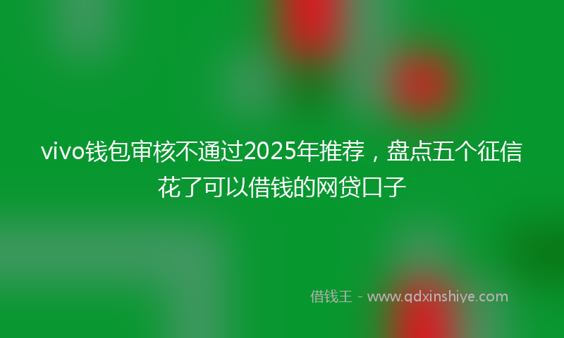vivo钱包审核不通过2025年推荐，盘点五个征信花了可以借钱的网贷口子