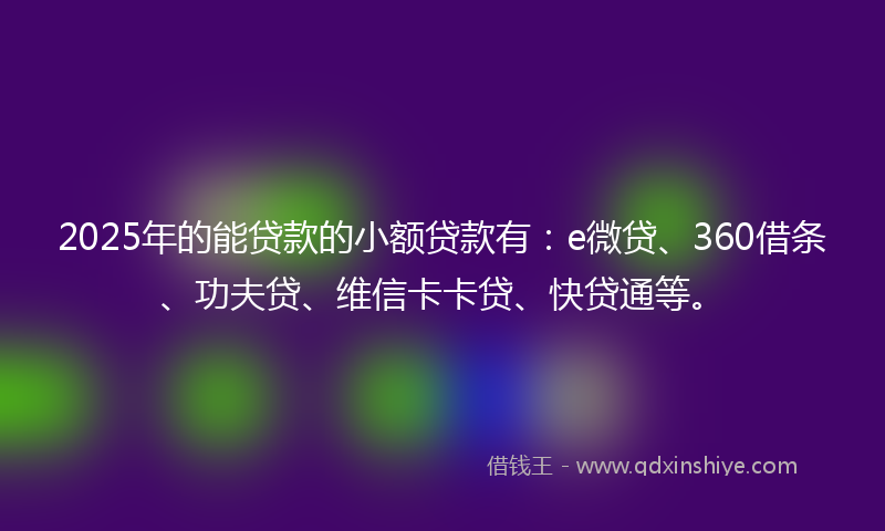 2025年的能贷款的小额贷款有:e微贷、360借条、功夫贷、维信卡卡贷、快贷通等。