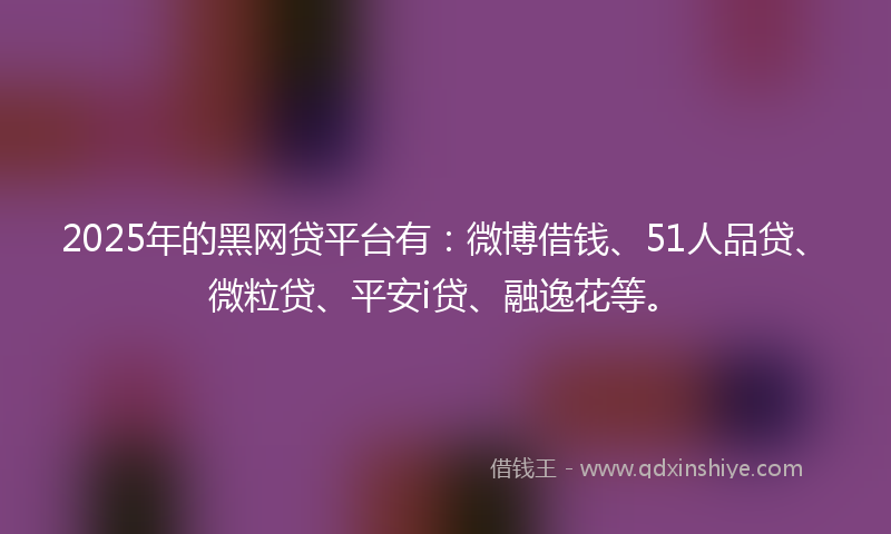 2025年的黑网贷平台有：微博借钱、51人品贷、微粒贷、平安i贷、融逸花等。