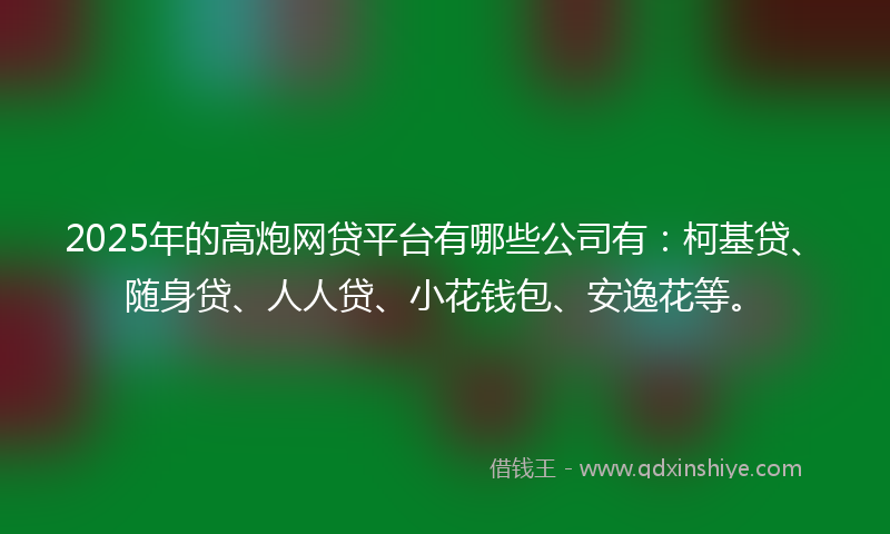2025年的高炮网贷平台有哪些公司有：柯基贷、随身贷、人人贷、小花钱包、安逸花等。