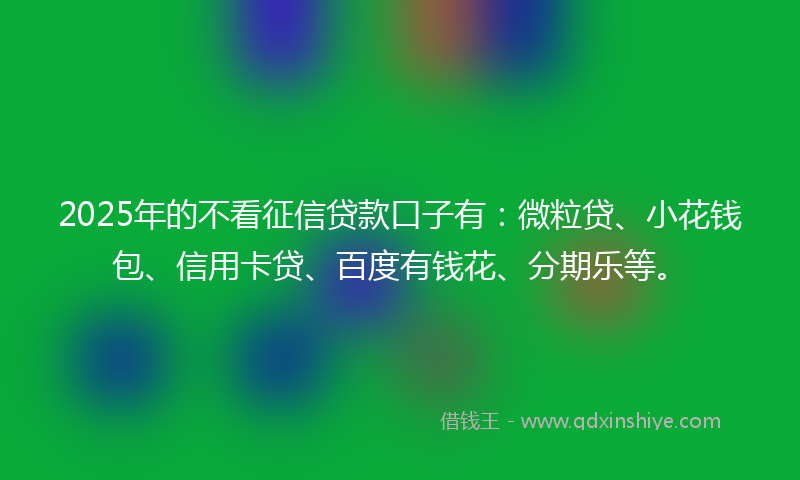 2025年的不看征信贷款口子有：微粒贷、小花钱包、信用卡贷、百度有钱花、分期乐等。