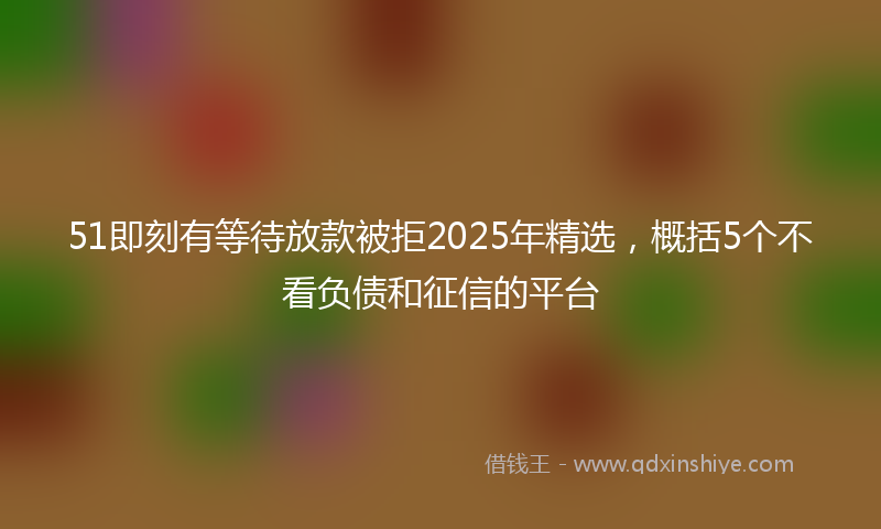51即刻有等待放款被拒2025年精选，概括5个不看负债和征信的平台