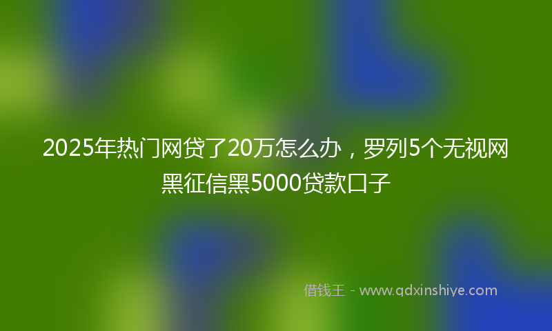 2025年热门网贷了20万怎么办，罗列5个无视网黑征信黑5000贷款口子