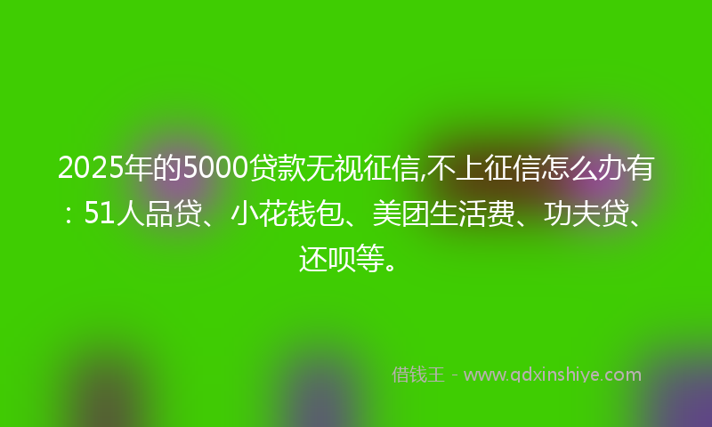 2025年的5000贷款无视征信,不上征信怎么办有:51人品贷、小花钱包、美团生活费、功夫贷、还呗等。