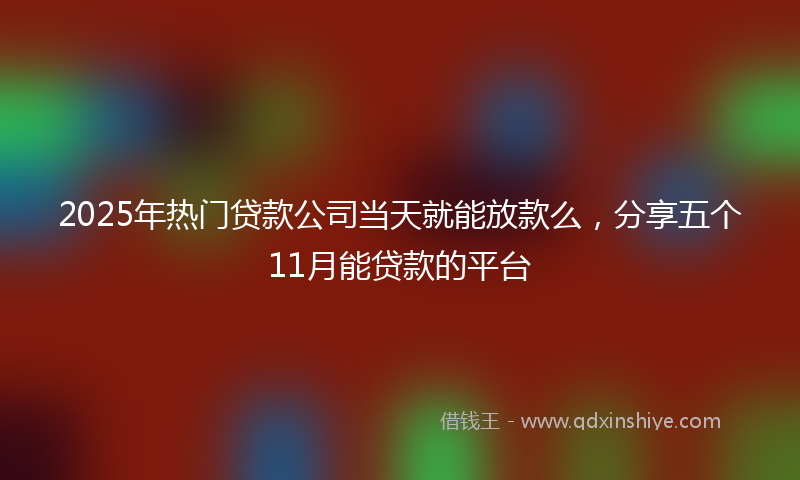 2025年热门贷款公司当天就能放款么，分享五个11月能贷款的平台