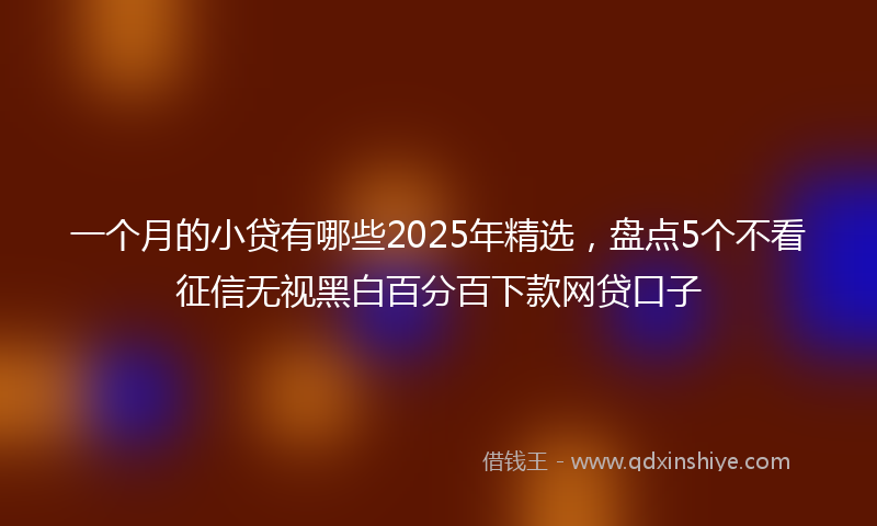 一个月的小贷有哪些2025年精选，盘点5个不看征信无视黑白百分百下款网贷口子