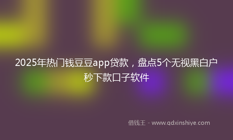 2025年热门钱豆豆app贷款，盘点5个无视黑白户秒下款口子软件