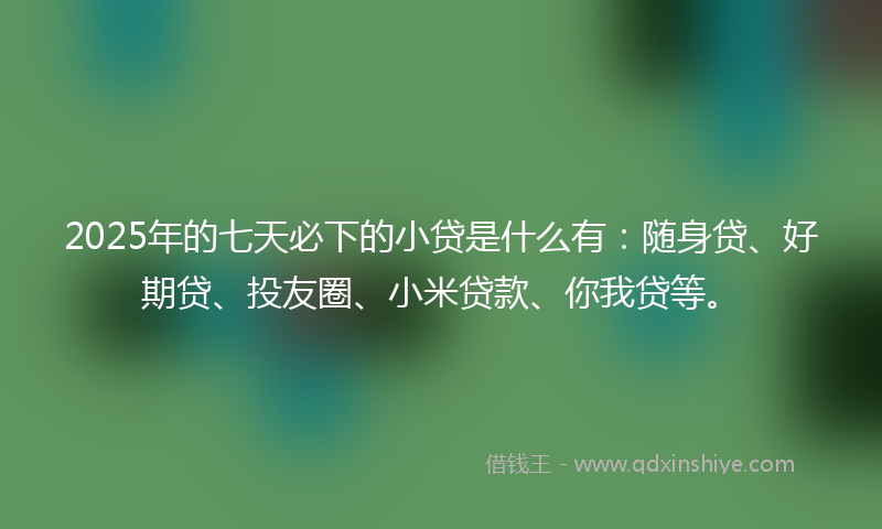 2025年的七天必下的小贷是什么有：随身贷、好期贷、投友圈、小米贷款、你我贷等。