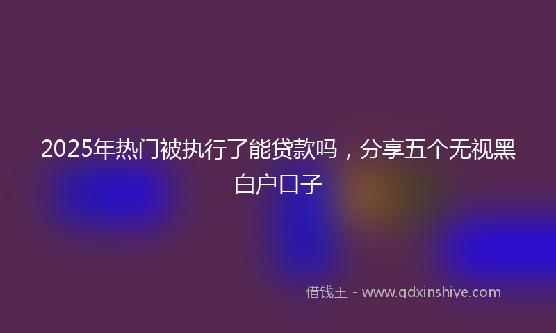 2025年热门被执行了能贷款吗，分享五个无视黑白户口子