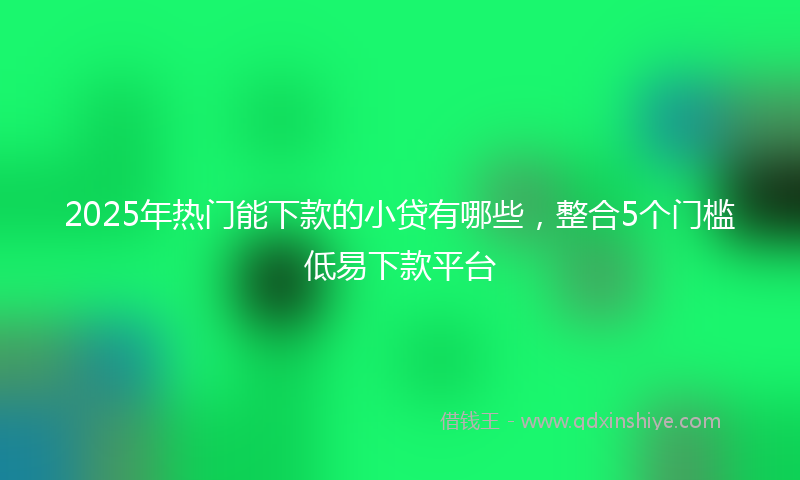 2025年热门能下款的小贷有哪些，整合5个门槛低易下款平台