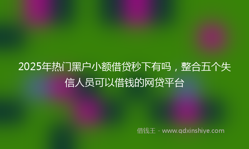 2025年热门黑户小额借贷秒下有吗，整合五个失信人员可以借钱的网贷平台