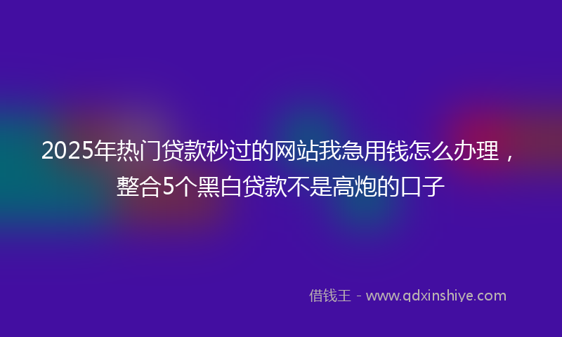 2025年热门贷款秒过的网站我急用钱怎么办理，整合5个黑白贷款不是高炮的口子