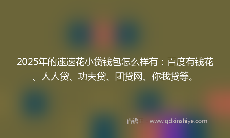 2025年的速速花小贷钱包怎么样有：百度有钱花、人人贷、功夫贷、团贷网、你我贷等。