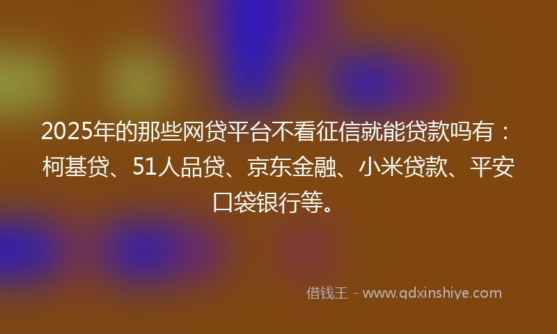 2025年的那些网贷平台不看征信就能贷款吗有：柯基贷、51人品贷、京东金融、小米贷款、平安口袋银行等。