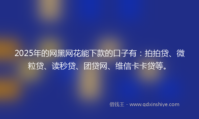2025年的网黑网花能下款的口子有：拍拍贷、微粒贷、读秒贷、团贷网、维信卡卡贷等。