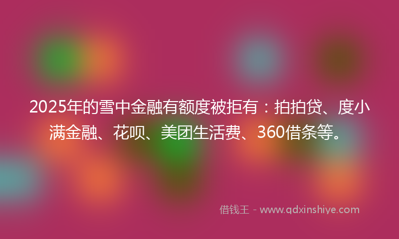 2025年的雪中金融有额度被拒有：拍拍贷、度小满金融、花呗、美团生活费、360借条等。