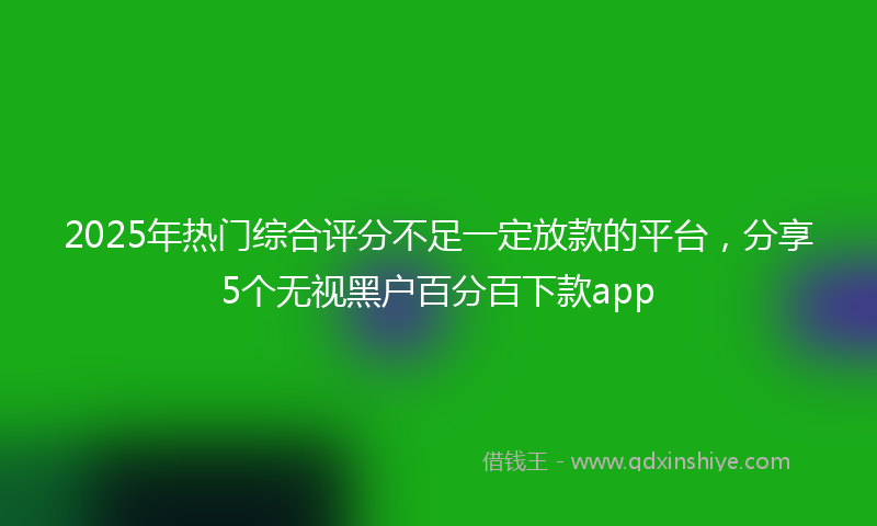 2025年热门综合评分不足一定放款的平台，分享5个无视黑户百分百下款app