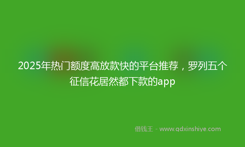 2025年热门额度高放款快的平台推荐，罗列五个征信花居然都下款的app