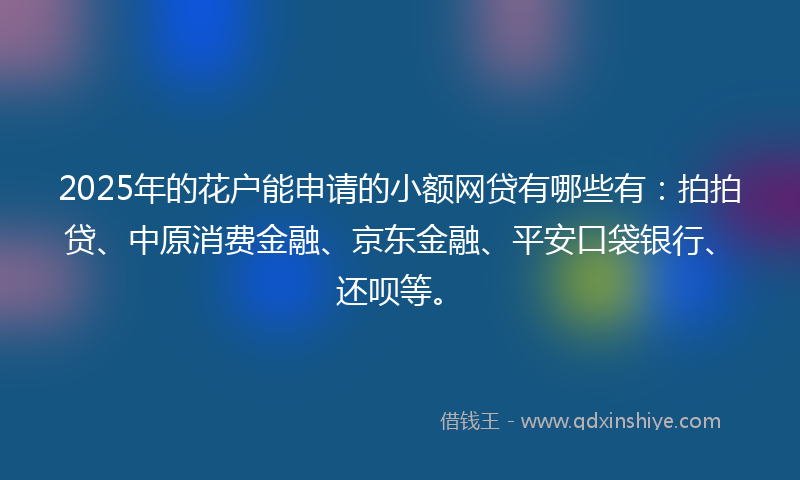 2025年的花户能申请的小额网贷有哪些有：拍拍贷、中原消费金融、京东金融、平安口袋银行、还呗等。