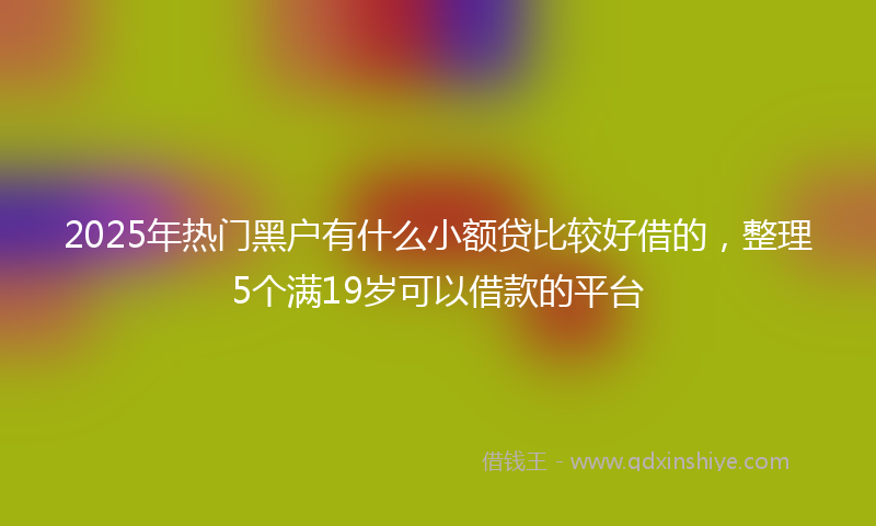 2025年热门黑户有什么小额贷比较好借的，整理5个满19岁可以借款的平台