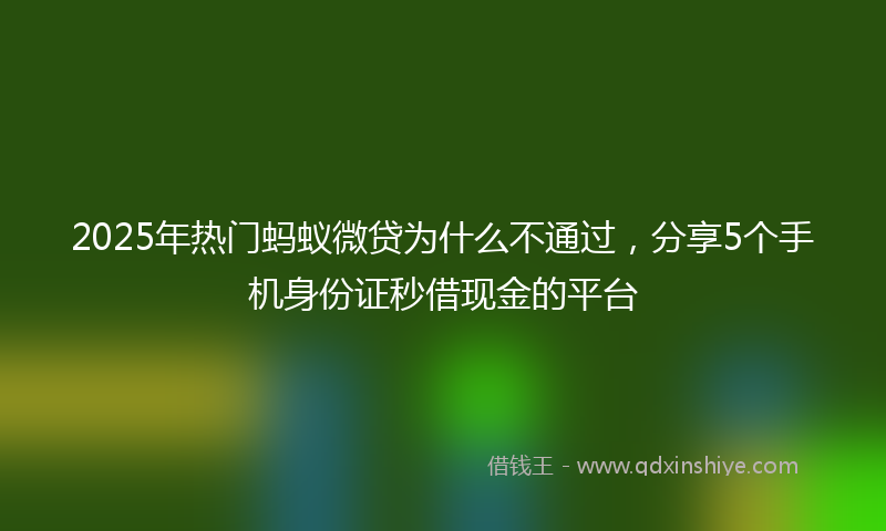 2025年热门蚂蚁微贷为什么不通过，分享5个手机身份证秒借现金的平台