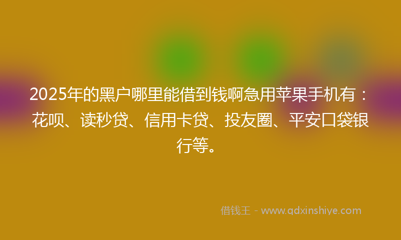 2025年的黑户哪里能借到钱啊急用苹果手机有：花呗、读秒贷、信用卡贷、投友圈、平安口袋银行等。