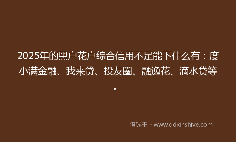 2025年的黑户花户综合信用不足能下什么有：度小满金融、我来贷、投友圈、融逸花、滴水贷等。