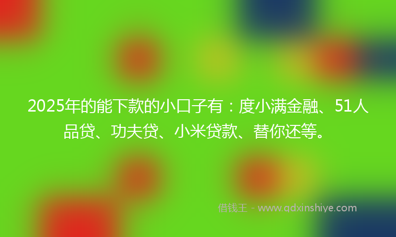2025年的能下款的小口子有:度小满金融、51人品贷、功夫贷、小米贷款、替你还等。