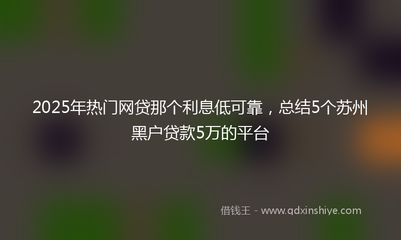 2025年热门网贷那个利息低可靠，总结5个苏州黑户贷款5万的平台