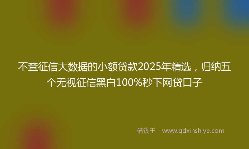 不查征信大数据的小额贷款2025年精选，归纳五个无视征信黑白100%秒下网贷口子