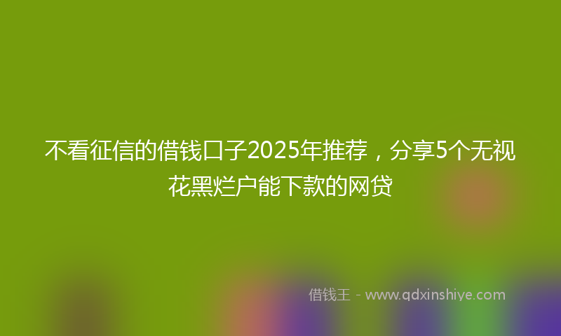 不看征信的借钱口子2025年推荐，分享5个无视花黑烂户能下款的网贷
