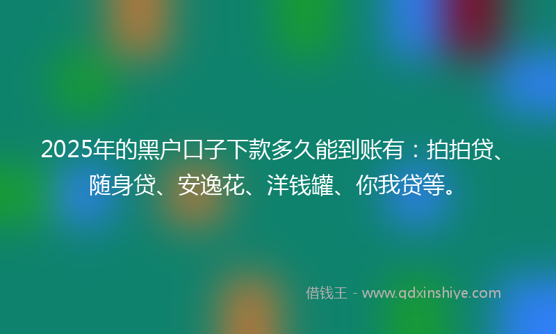 2025年的黑户口子下款多久能到账有：拍拍贷、随身贷、安逸花、洋钱罐、你我贷等。